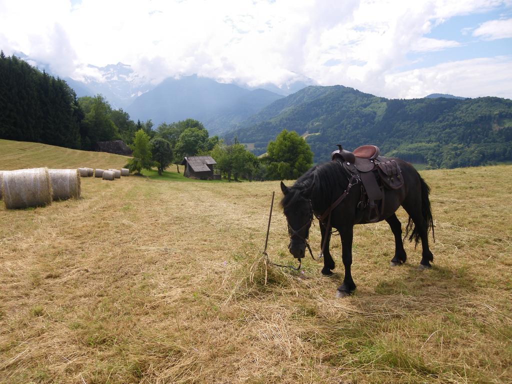 Gite Le Cerf De Belledonne Sainte-Agnès Kültér fotó