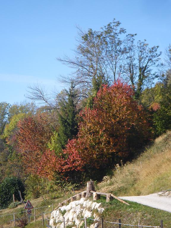 Gite Le Cerf De Belledonne Sainte-Agnès Kültér fotó