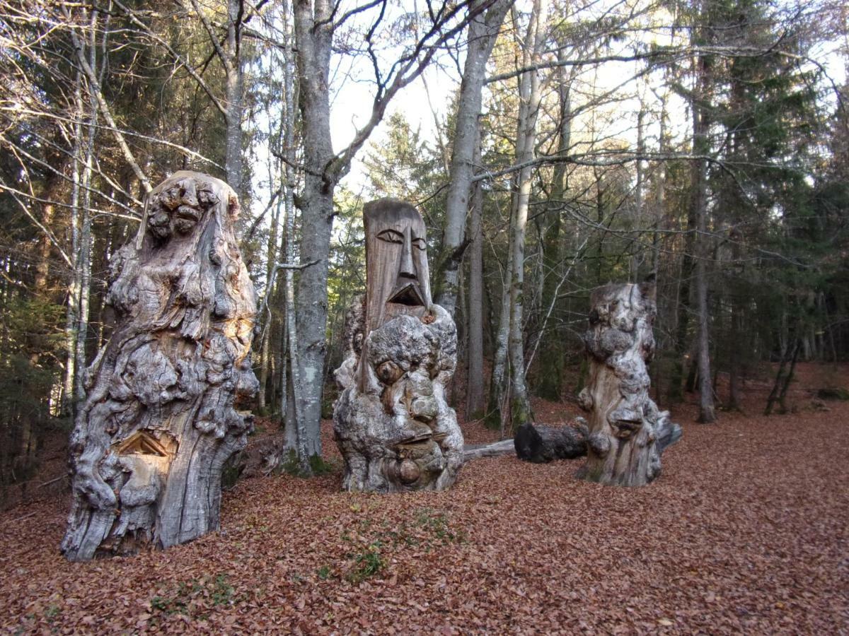 Gite Le Cerf De Belledonne Sainte-Agnès Kültér fotó