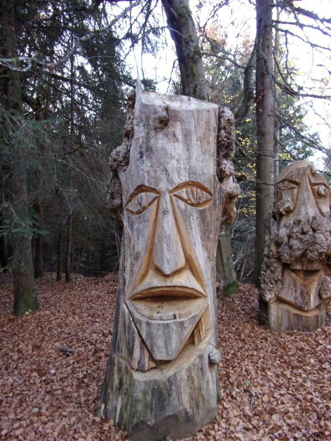 Gite Le Cerf De Belledonne Sainte-Agnès Kültér fotó